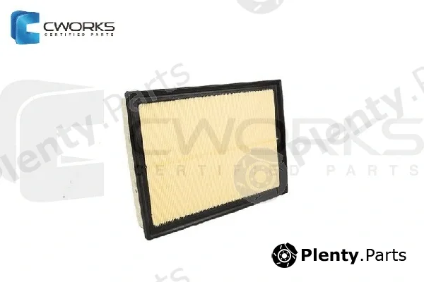 Cworks B130170050 — Air Filter