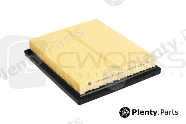 Cworks B130179020 — Air Filter