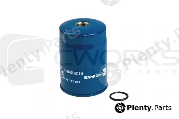 Cworks B120R0006 — Fuel Filter