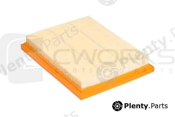 Cworks B130P0001 — Air Filter
