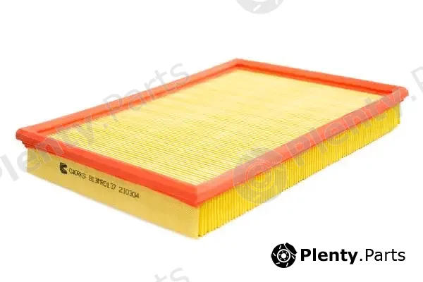 Cworks B13MR0137 — Air Filter