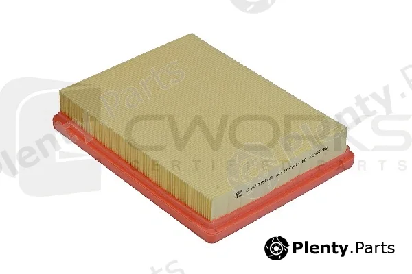 Cworks B130G0119 — Air Filter