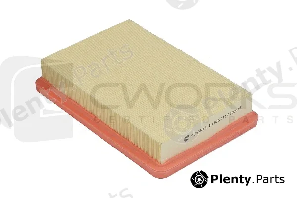 Cworks B130G0117 — Air Filter