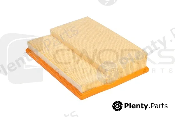 Cworks B130P0006 — Air Filter