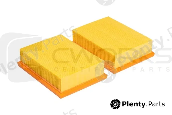 Cworks B130P0012 — Air Filter