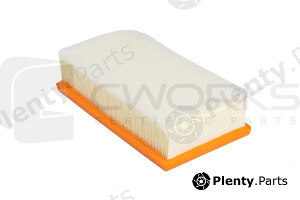 Cworks B130P0011 — Air Filter