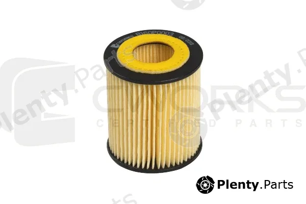 Cworks B160P0003 — Oil Filter
