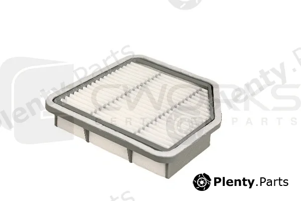 Cworks B130195012 — Air Filter