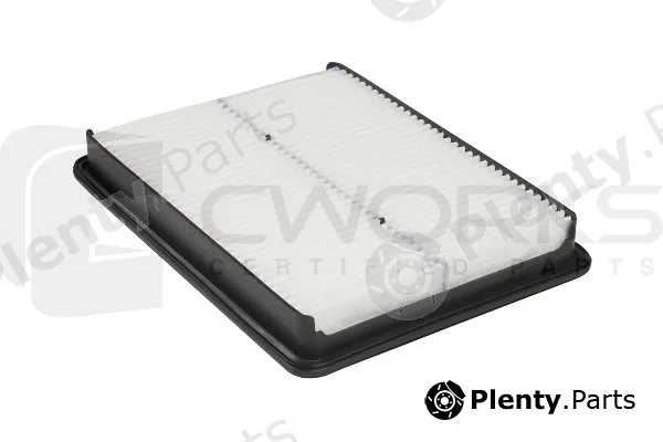 Cworks B130G0103 — Air Filter