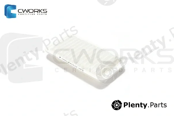 Cworks B130131108 — Air Filter