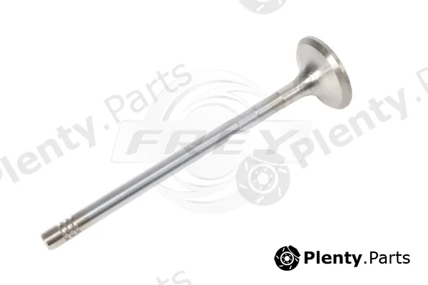 Frey 706702701 — Intake Valve