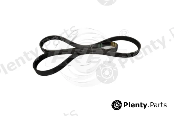 Frey 621605601 — V-Ribbed Belt