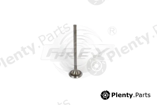 Frey 806701401 — Intake Valve