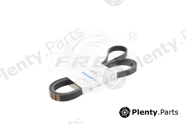 Frey 721607001 — V-Ribbed Belt