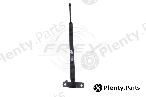 Frey 790809101 — Gas Spring, boot/cargo area