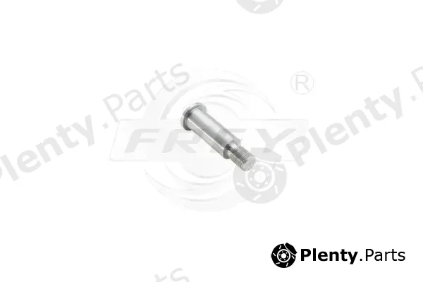Frey 721108801 — Bearing Journal, tensioner pulley lever