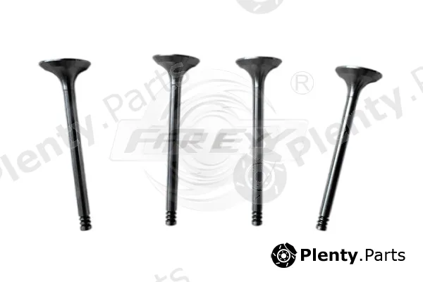 Frey 806701301 — Intake Valve