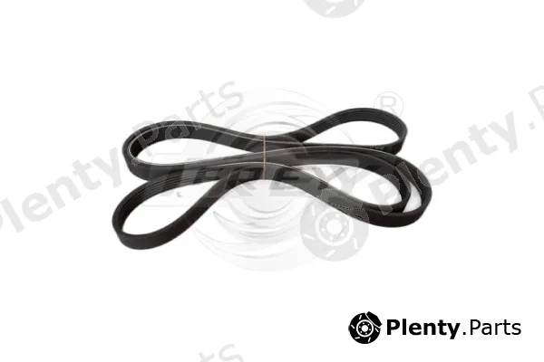 Frey 721602601 — V-Ribbed Belt