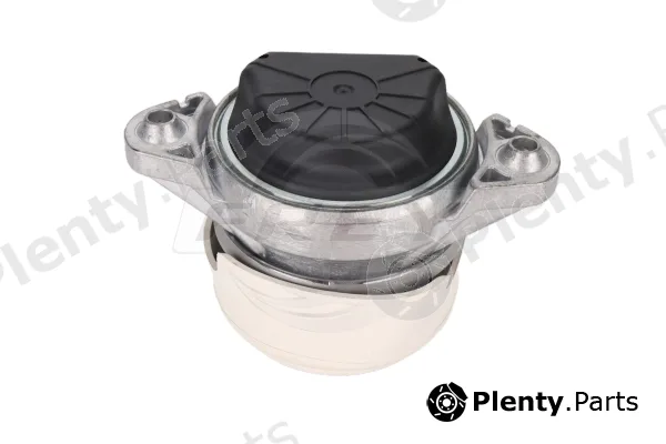 Frey 702917001 — Mounting, engine