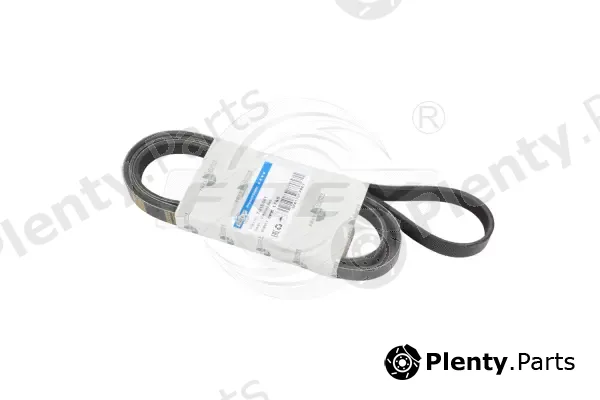 Frey 721606101 — V-Ribbed Belt