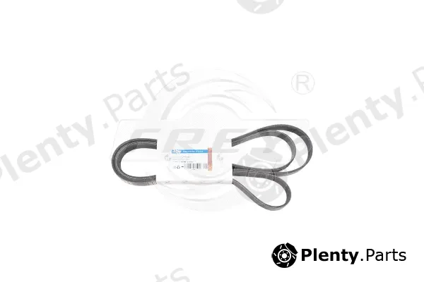 Frey 721604001 — V-Ribbed Belt