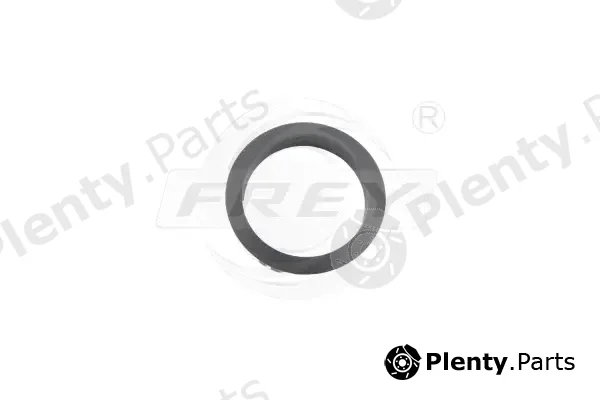 Frey 795511101 — Gasket, timing case cover