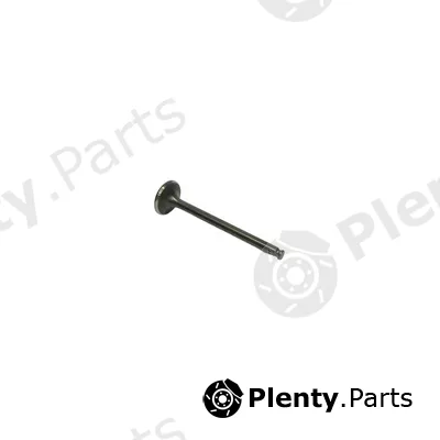 Frey 706803301 — Intake Valve