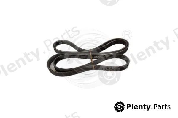 Frey 721615701 — V-Ribbed Belt