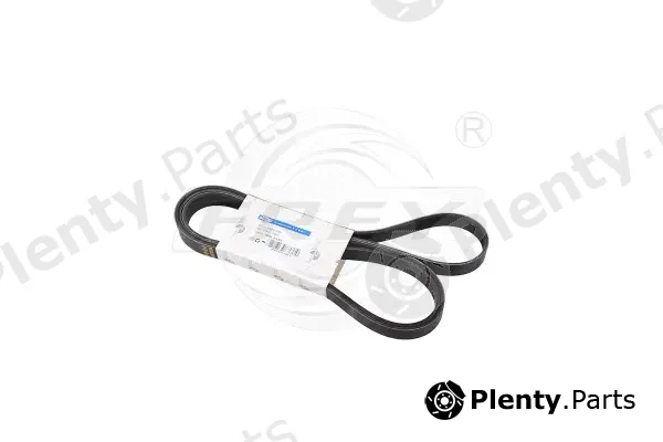 Frey 721618801 — V-Ribbed Belt