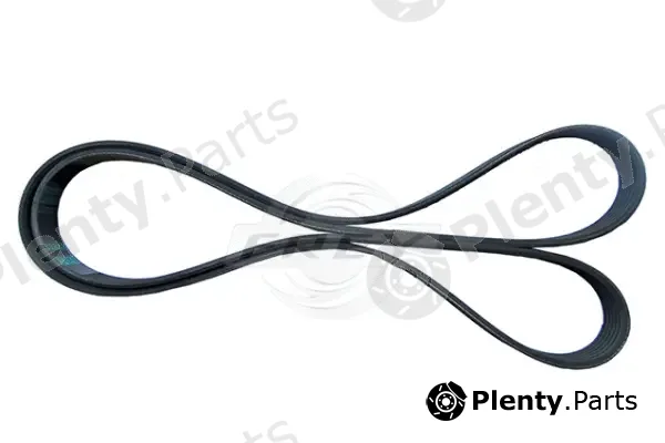 Frey 721606801 — V-Ribbed Belt