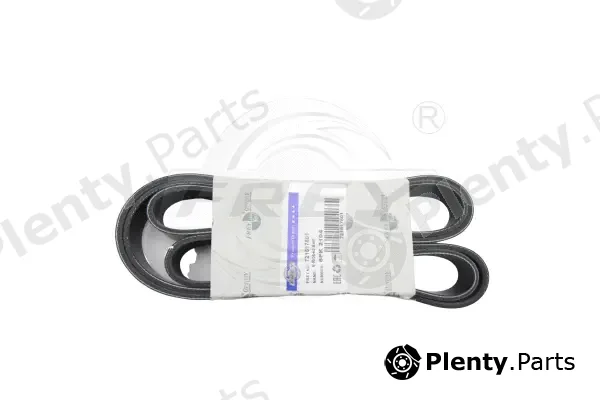 Frey 721617601 — V-Ribbed Belt