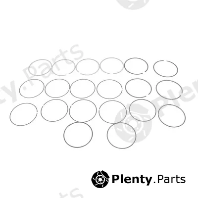 Frey 712604101 — Piston Ring