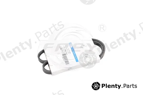 Frey 821604801 — V-Ribbed Belt
