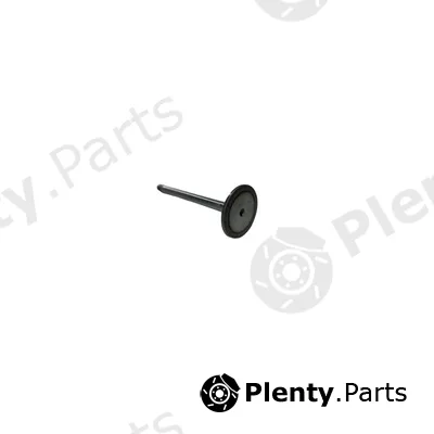 Frey 806701101 — Intake Valve