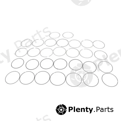 Frey 712604501 — Piston Ring