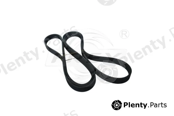 Frey 721617001 — V-Ribbed Belt
