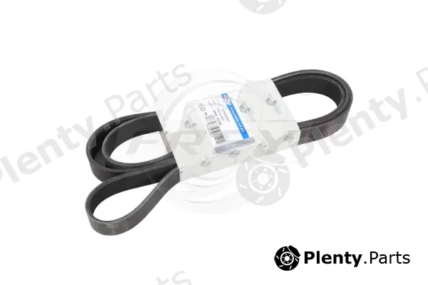 Frey 721605901 — V-Ribbed Belt