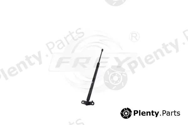 Frey 790809501 — Gas Spring, boot/cargo area