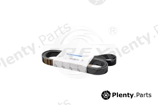 Frey 821607801 — V-Ribbed Belt