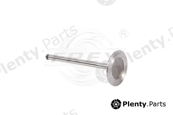 Frey 706700901 — Intake Valve