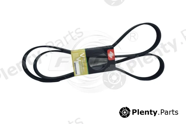 Frey 621618501 — V-Ribbed Belt