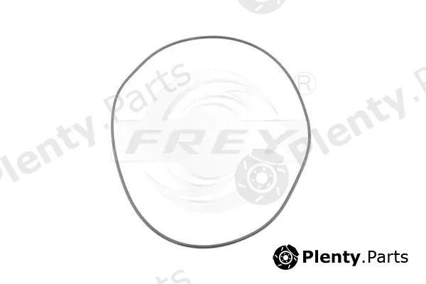Frey 800511501 — Seal Ring, oil drain plug