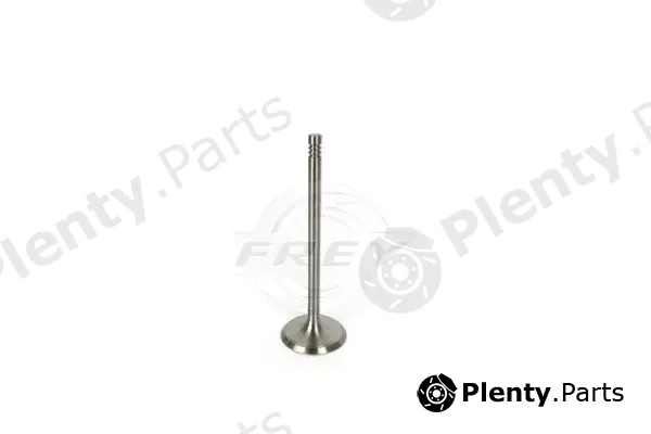 Frey 806700798 — Intake Valve