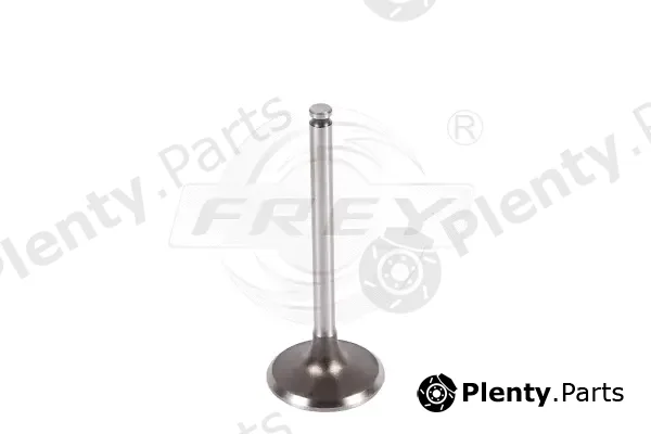 Frey 706701601 — Intake Valve