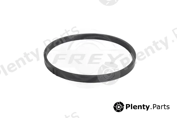 Frey 800602801 — Gasket, intake manifold