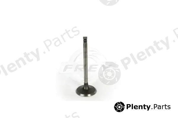 Frey 806700401 — Intake Valve