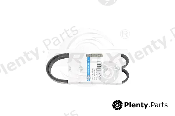 Frey 821610301 — V-Ribbed Belt