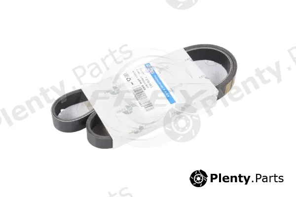 Frey 721606301 — V-Ribbed Belt