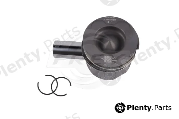 Frey 712705201 — Piston
