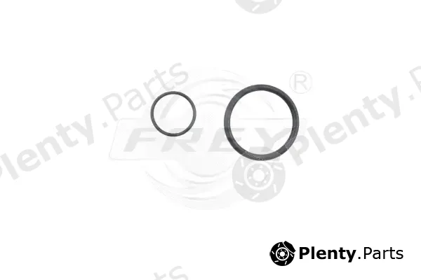 Frey 800510901 — Control Valve, camshaft adjustment